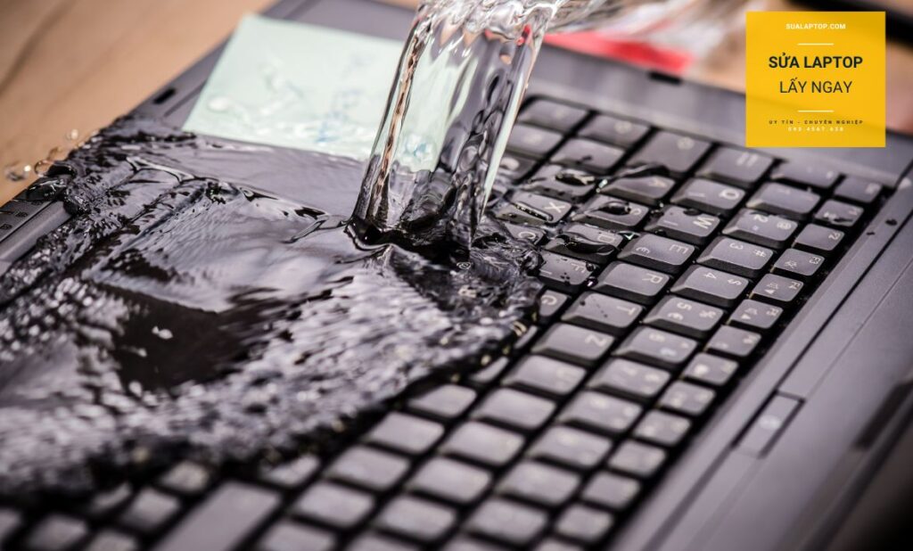 Các lỗi phổ biến và cách thay màn hình laptop